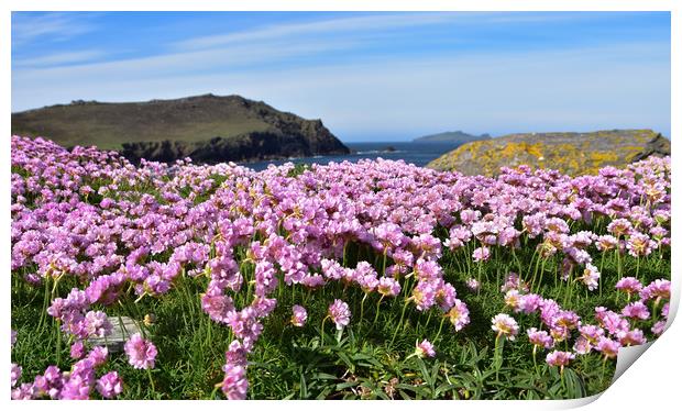 Pink heaven Print by barbara walsh