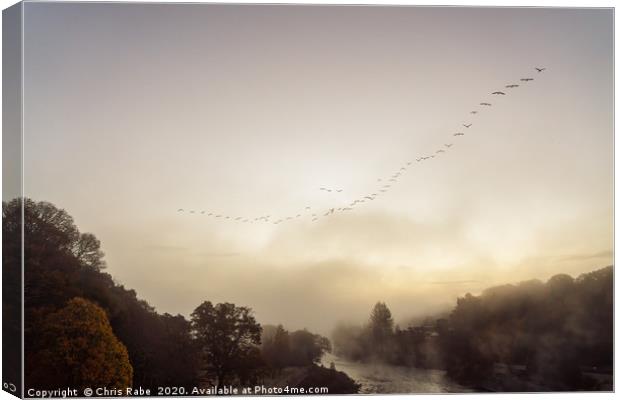 Geese migrating over Pitlochry on foggy morning Canvas Print by Chris Rabe