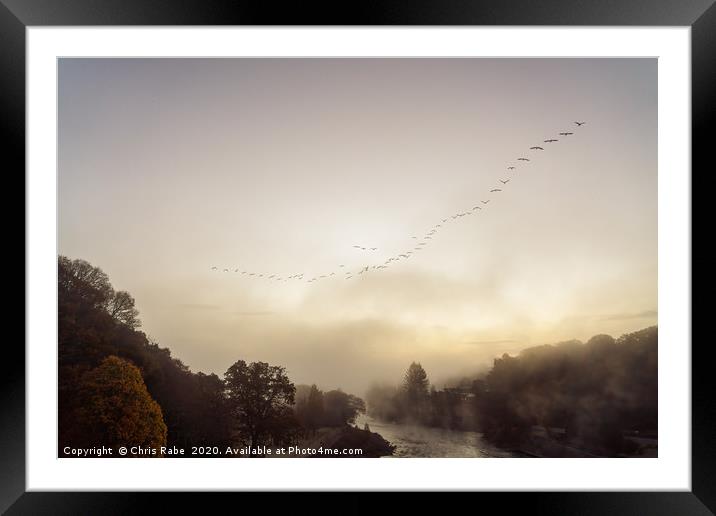 Geese migrating over Pitlochry on foggy morning Framed Mounted Print by Chris Rabe