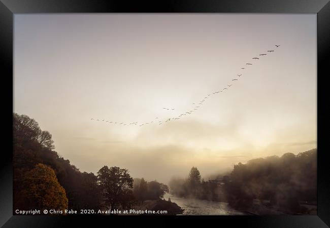 Geese migrating over Pitlochry on foggy morning Framed Print by Chris Rabe