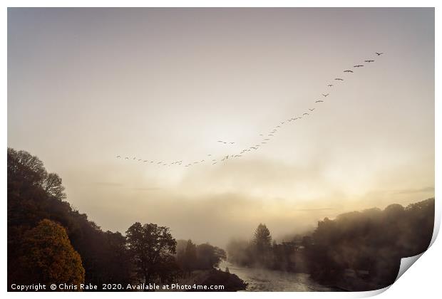 Geese migrating over Pitlochry on foggy morning Print by Chris Rabe