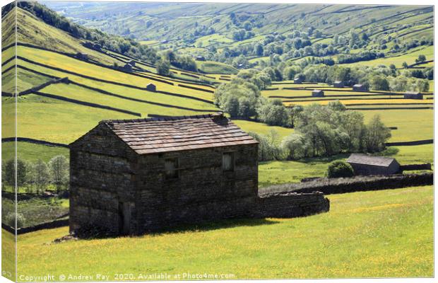 Swaledale Barns Canvas Print by Andrew Ray