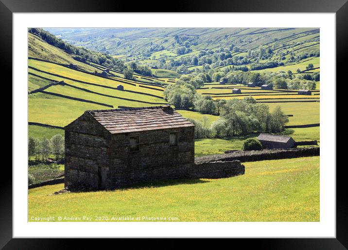 Swaledale Barns Framed Mounted Print by Andrew Ray
