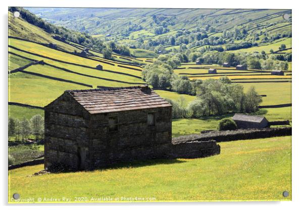 Swaledale Barns Acrylic by Andrew Ray