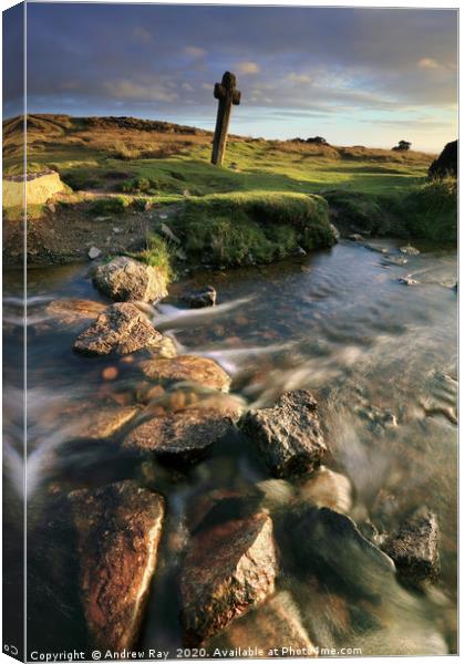 Stream at Windy Post (Dartmoor) Canvas Print by Andrew Ray