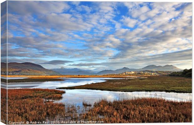 Glaslyn Marshes Canvas Print by Andrew Ray