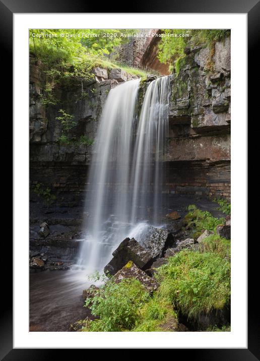 Ashgill Force Near Alston in Summer, Cumbria, UK Framed Mounted Print by David Forster