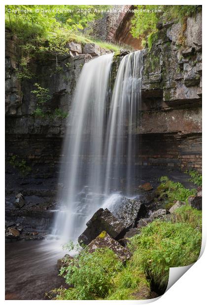 Ashgill Force Near Alston in Summer, Cumbria, UK Print by David Forster