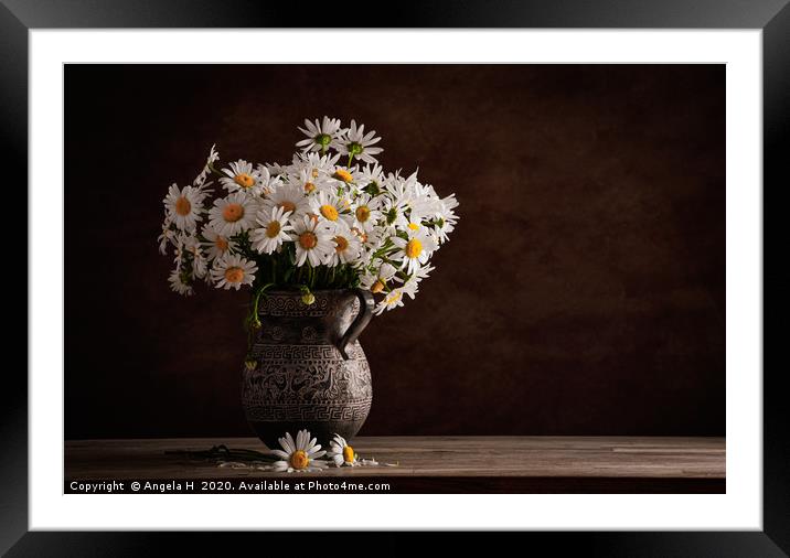 Oxeye Daisies Framed Mounted Print by Angela H