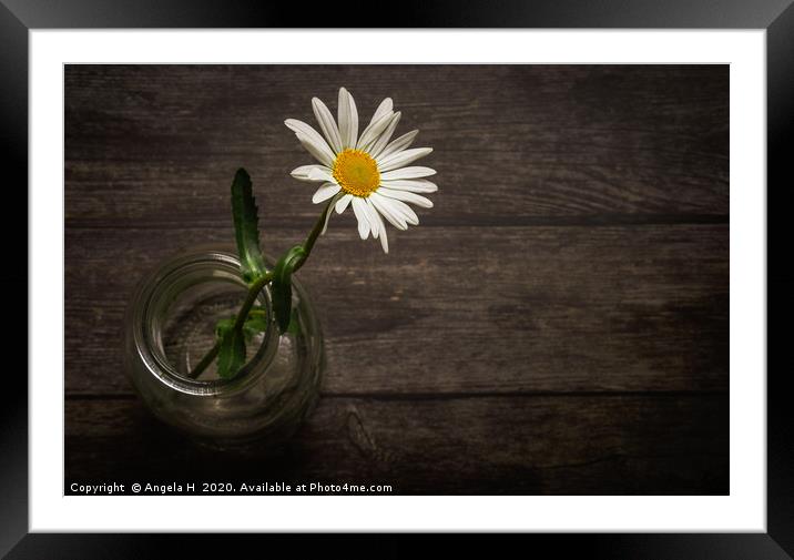 One Oxeye Daisy Framed Mounted Print by Angela H