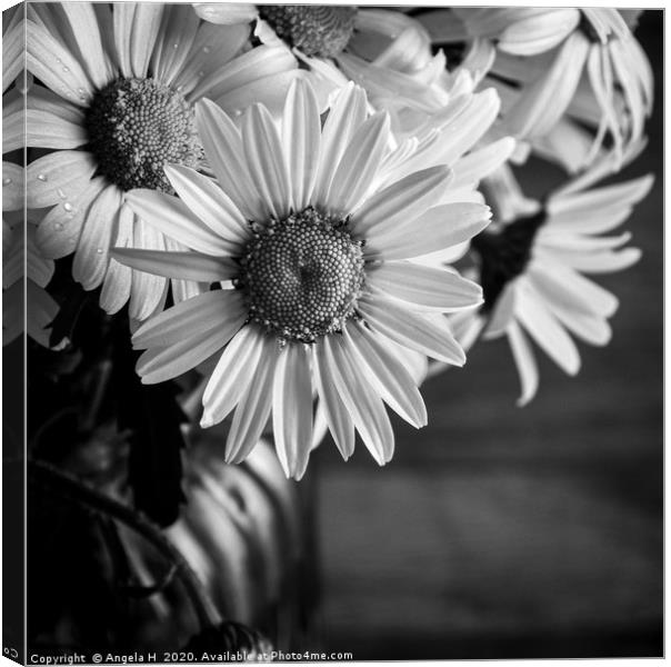 Oxey Daisies black and white Canvas Print by Angela H