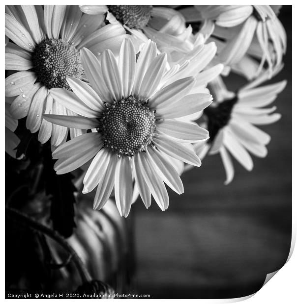 Oxey Daisies black and white Print by Angela H