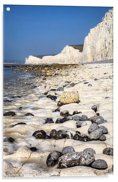 Rocky Shore (Seven Sisters) Acrylic by Andrew Ray