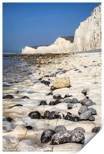 Rocky Shore (Seven Sisters) Print by Andrew Ray