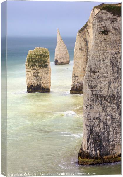 The Pinnacles (Dorset) Canvas Print by Andrew Ray