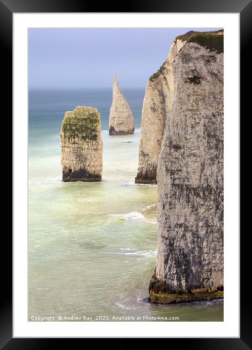 The Pinnacles (Dorset) Framed Mounted Print by Andrew Ray