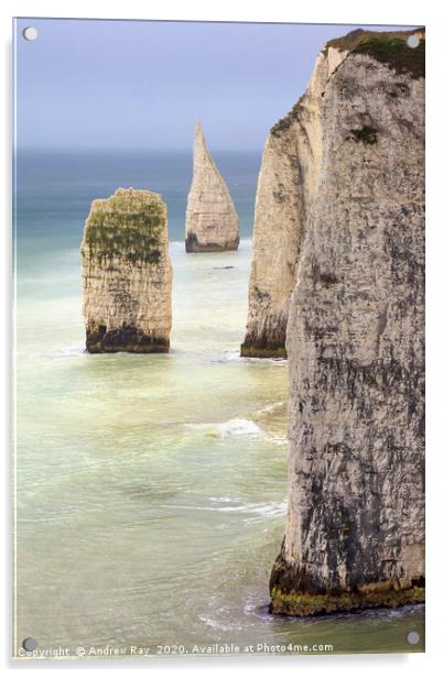 The Pinnacles (Dorset) Acrylic by Andrew Ray