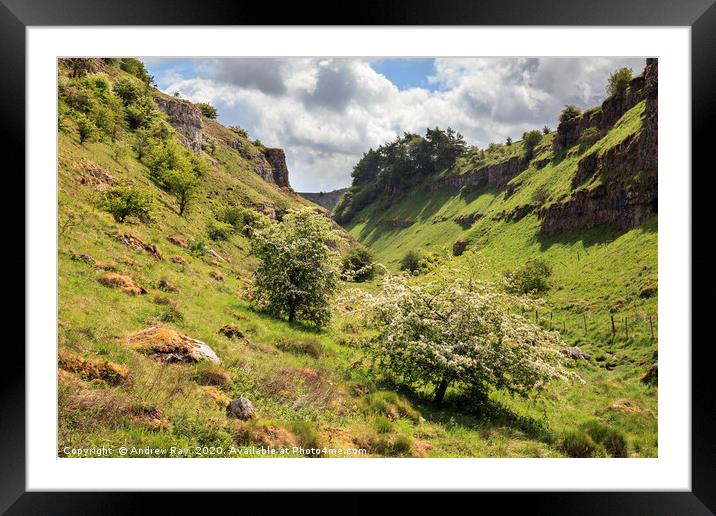 Spring in Lathkill Dale Framed Mounted Print by Andrew Ray