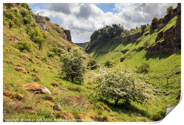 Spring in Lathkill Dale Print by Andrew Ray
