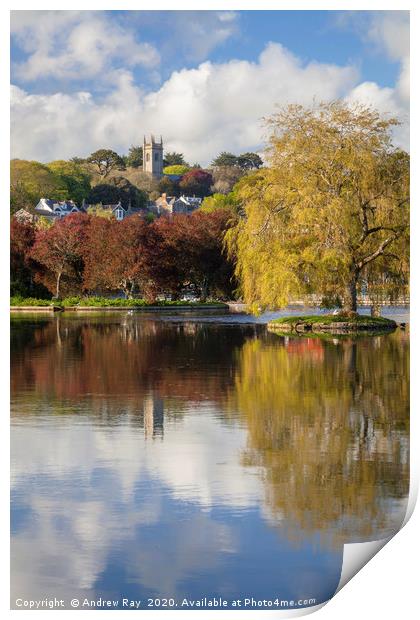 Reflections at Helston Boating Lake by Andrew Ray Print by Andrew Ray