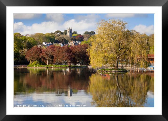 Spring at Helston Boating Lake Framed Mounted Print by Andrew Ray