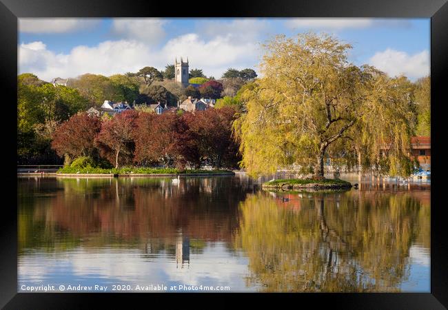 Spring at Helston Boating Lake Framed Print by Andrew Ray