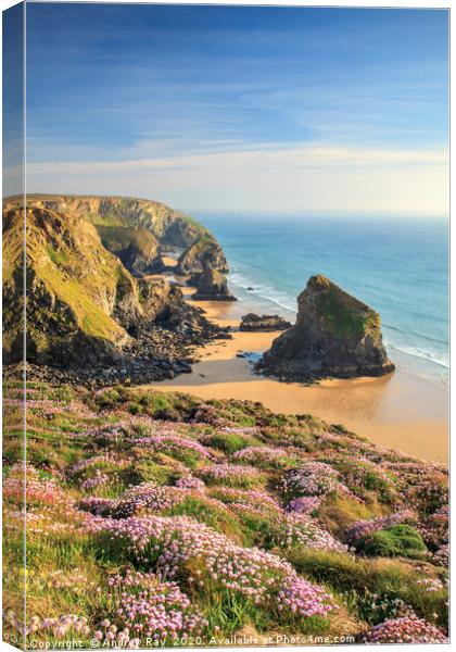 Spring at Cape Cornwall Canvas Print by Andrew Ray