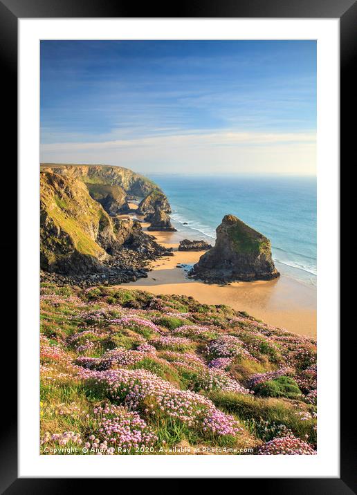Spring at Cape Cornwall Framed Mounted Print by Andrew Ray