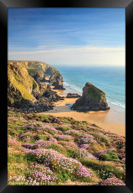 Spring at Cape Cornwall Framed Print by Andrew Ray