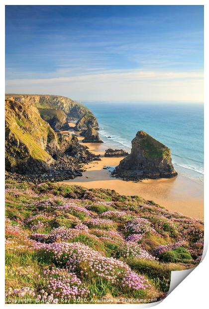 Spring at Cape Cornwall Print by Andrew Ray