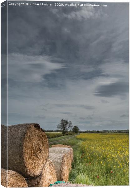 Big Bales and Big Sky Canvas Print by Richard Laidler