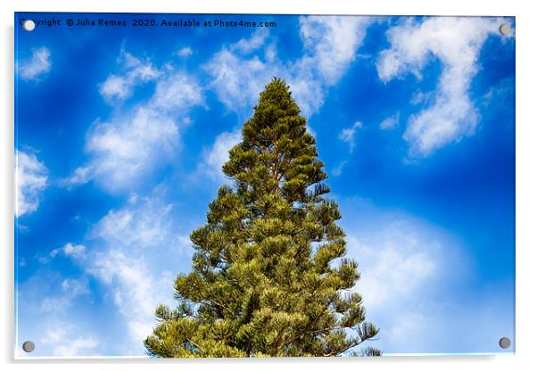 Canary Islands Pine Acrylic by Juha Remes