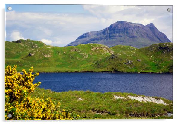Loch Buine Moire and Cúl Mór in Assynt Acrylic by Steven Watson