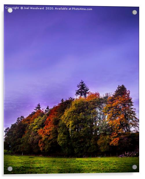 Autumn Trees Acrylic by Joel Woodward