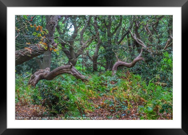 Woodland serpents Framed Mounted Print by PAUL OLBISON