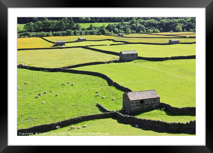 Barns at Gunnerside Framed Mounted Print by Andrew Ray