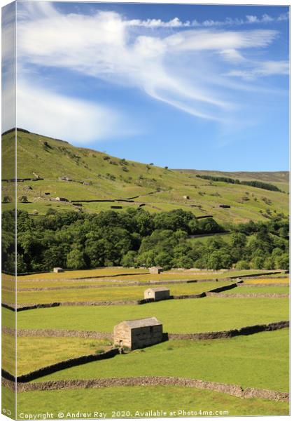 Gunnerside Meadows Canvas Print by Andrew Ray