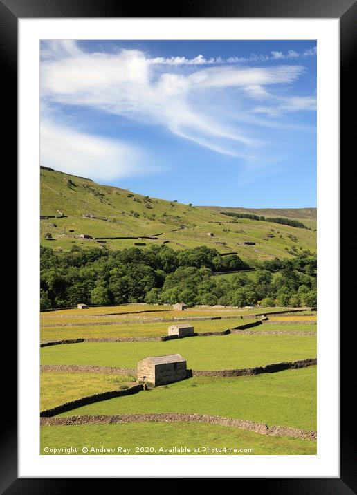 Gunnerside Meadows Framed Mounted Print by Andrew Ray