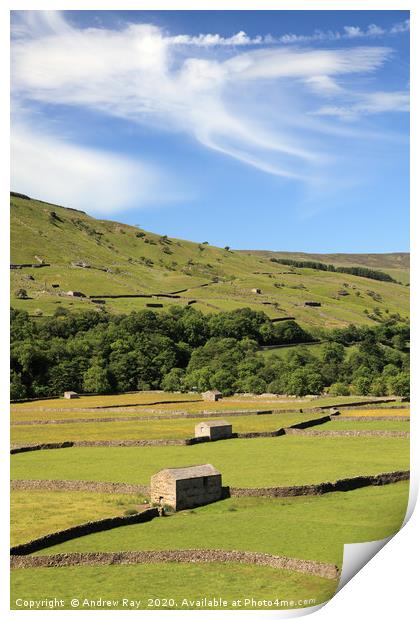 Gunnerside Meadows Print by Andrew Ray