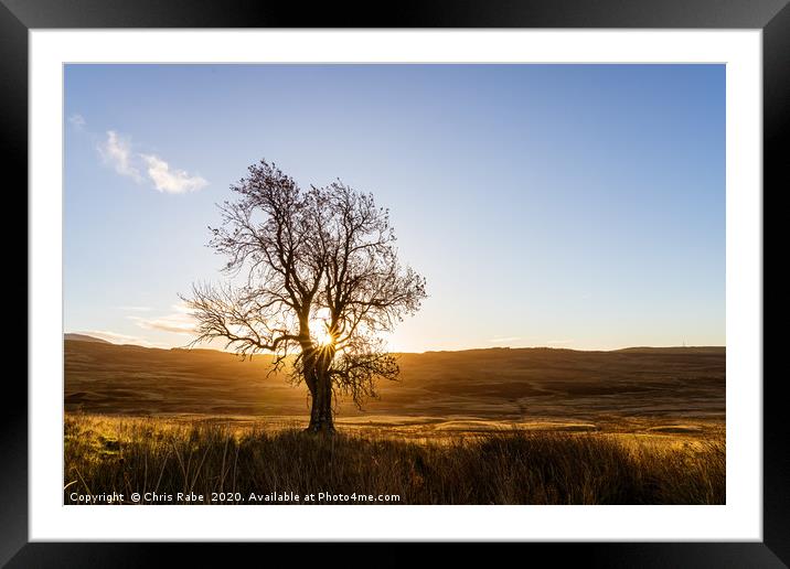 sunrise through a lone tree on Perthshire moors Framed Mounted Print by Chris Rabe