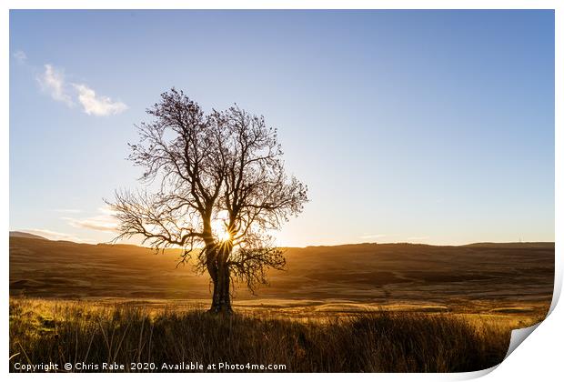 sunrise through a lone tree on Perthshire moors Print by Chris Rabe