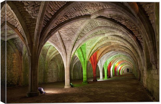 Cloisters Canvas Print by Wayne Shipley