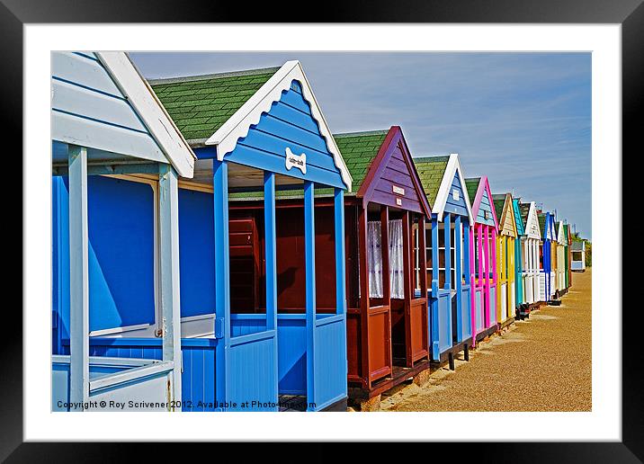 Southwold beach huts Framed Mounted Print by Roy Scrivener