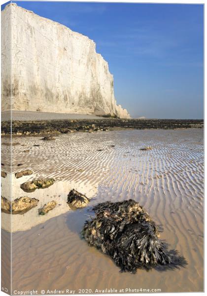 Beach at Cuckmere Haven Canvas Print by Andrew Ray