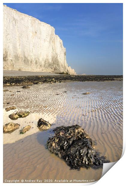Beach at Cuckmere Haven Print by Andrew Ray