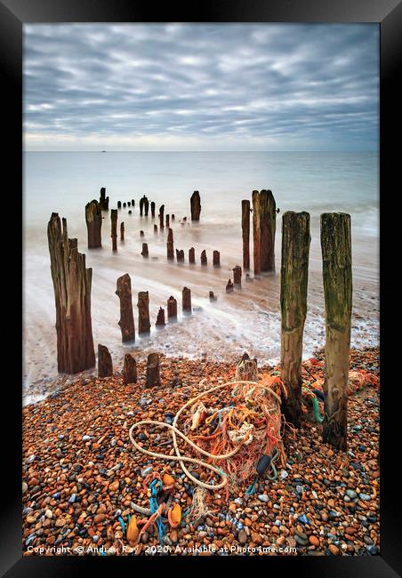 Groynes at Rye Harbour Framed Print by Andrew Ray