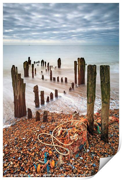 Groynes at Rye Harbour Print by Andrew Ray