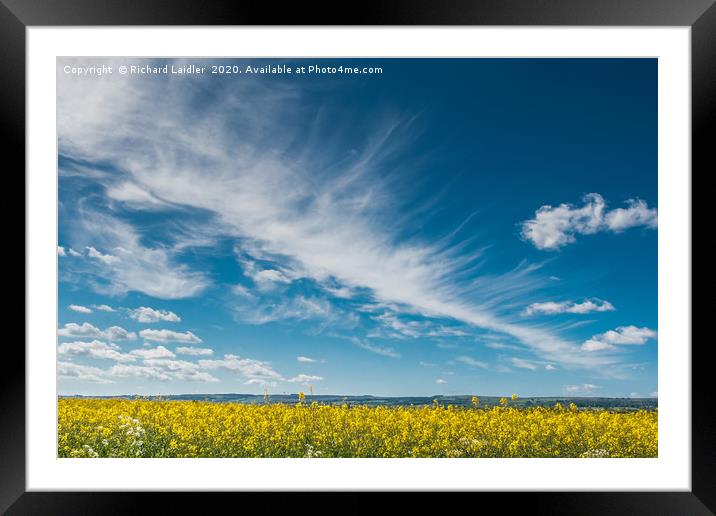 Cirrus and Oilseed Rape Framed Mounted Print by Richard Laidler