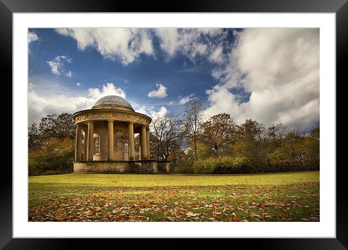 Leafy Terrace Framed Mounted Print by Wayne Shipley