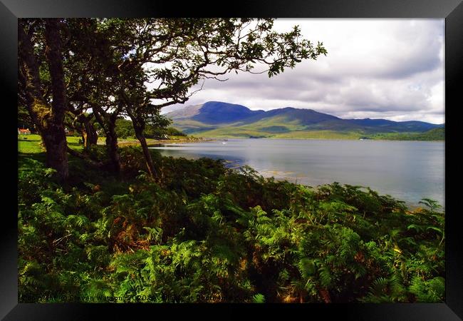 At remote Croggan on Loch Spelve Framed Print by Steven Watson